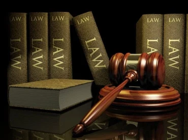 Từ vựng theo chủ đề Law and Crime (Phần 4)