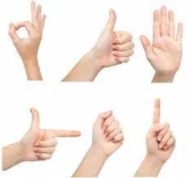 Bài tập IELTS Reading - Gesture