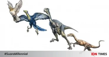 Bài tập IELTS Reading: The origins of birds - Phân tích từ vựng