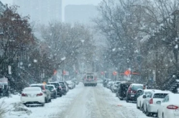 Bài tập IELTS Reading - Wealth In a Cold Climate